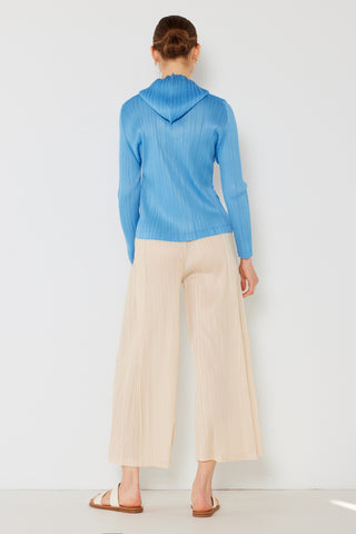 Marina West Swim Pleated Wide-Leg Pants with Side Pleat Detail Trendsi